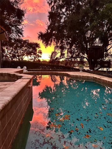 13123 LUNTZ POINT LANE, Windermere, FL 34786