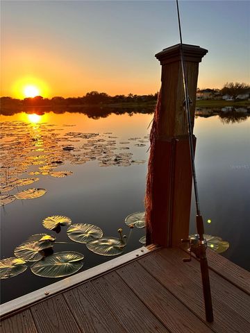 13123 LUNTZ POINT LANE, Windermere, FL 34786