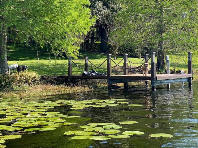 13123 LUNTZ POINT LANE, Windermere, FL 34786