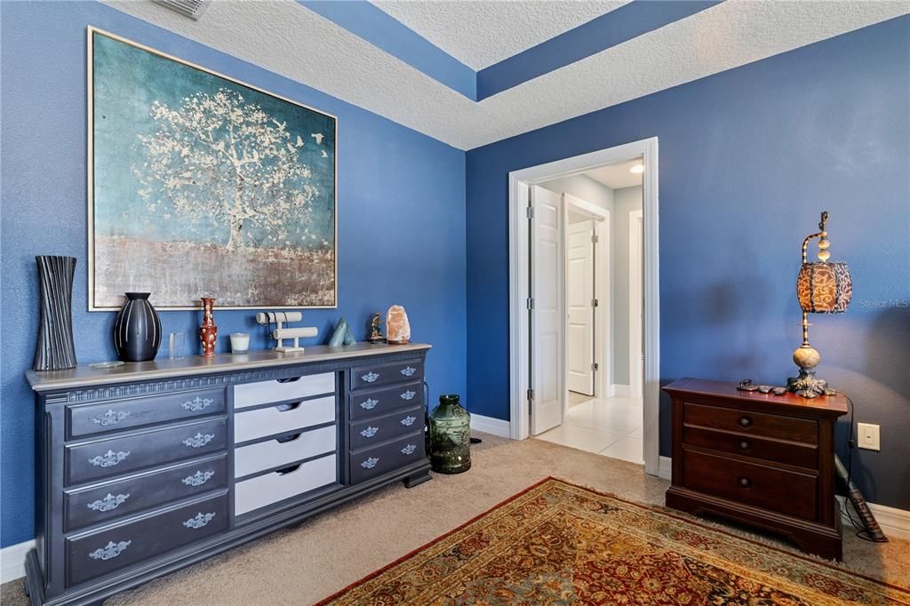 Image 39 of property listing at 1521 BANNER ELK STREET, Valrico, FL 33594
