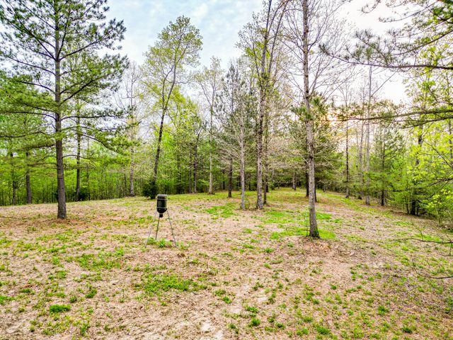 920 Mason Bates Bend Rd, Centerville, TN 37033