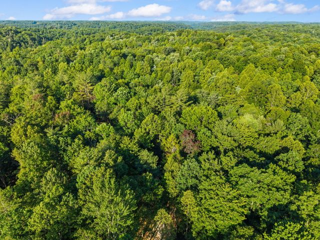 24 Joyful Springs, Beattyville, KY 41311