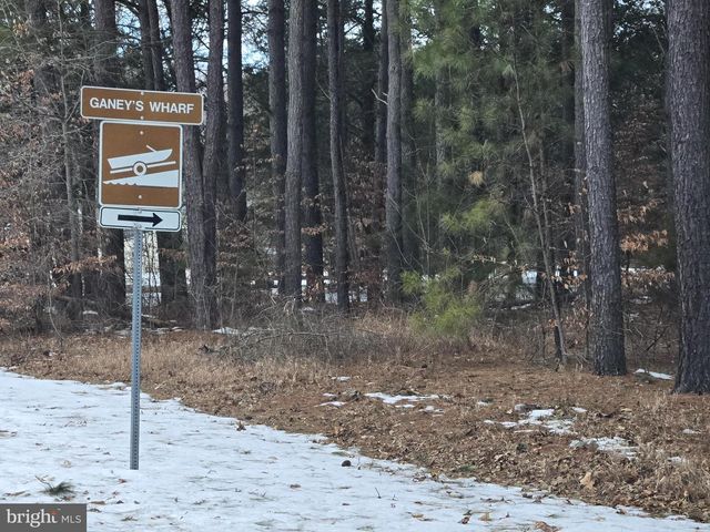 23116 GILPIN POINT RD, Preston, MD 21655