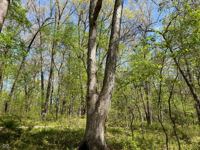 4115 E Olive Branch Road, Bloomfield, IN 47424