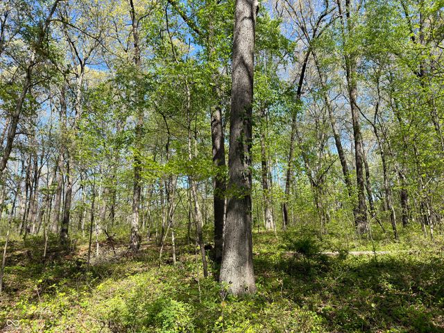 4115 E Olive Branch Road, Bloomfield, IN 47424
