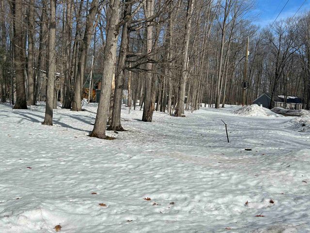 4640 E Circle Drive Ne, Kalkaska, MI 49646