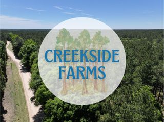 00000 Morris Lane, Livingston, TX 77351