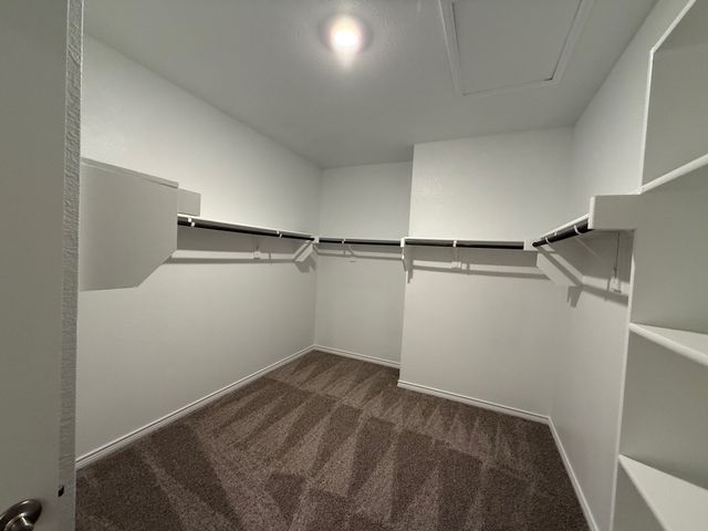 2404 Palo Pinto Trail, Celina, TX 75009