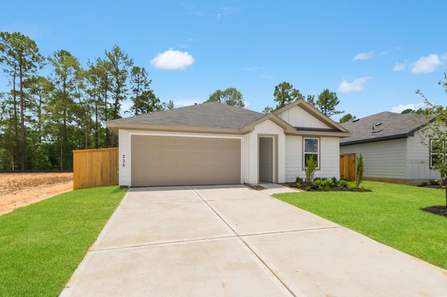 228 Golden Eagle Boulevard, New Waverly, TX 77358