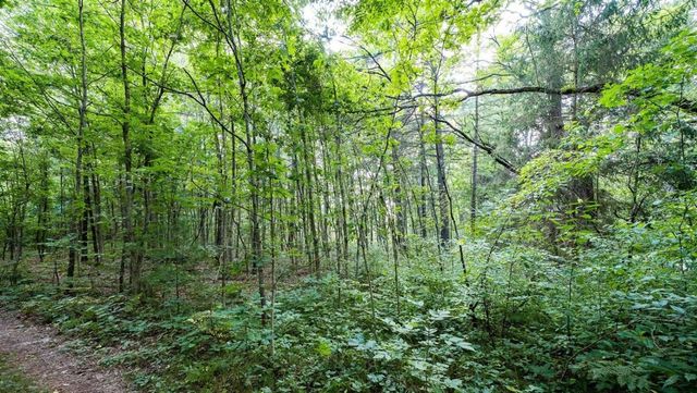 0 158th Avenue, West Olive, MI 49460