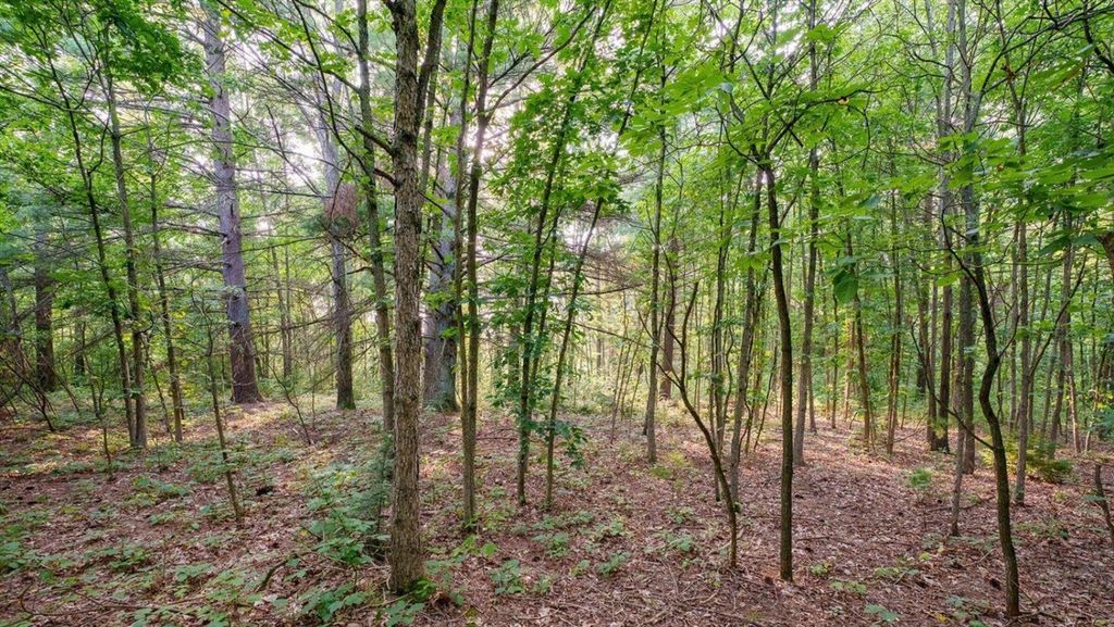 0 158th Avenue, West Olive, MI 49460