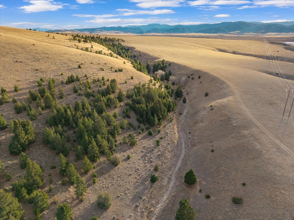 NHN Homestead Creek Drive, Anaconda, MT 59711 photo 11