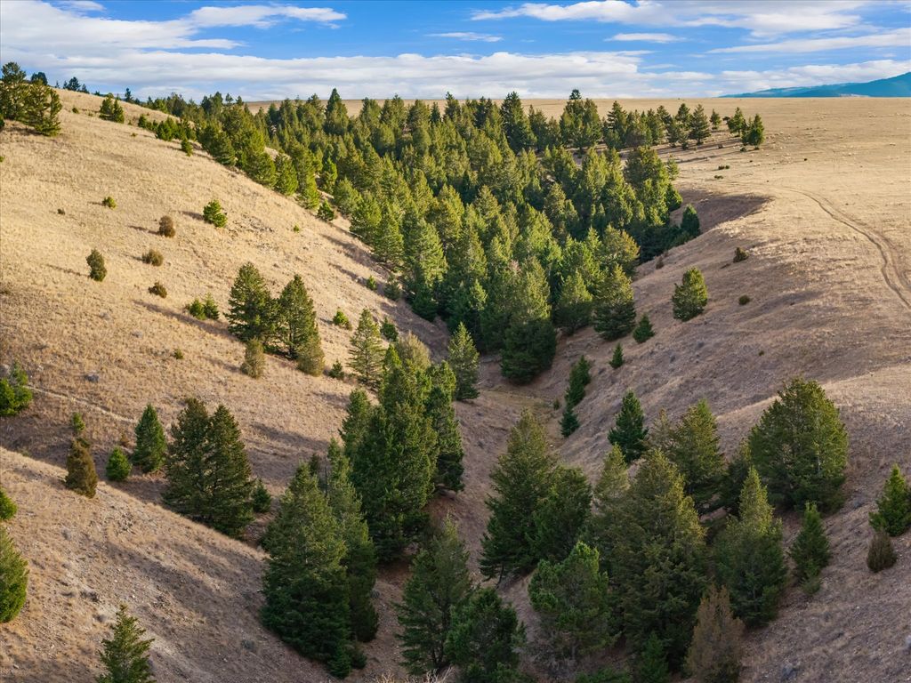 NHN Homestead Creek Drive, Anaconda, MT 59711 photo 12