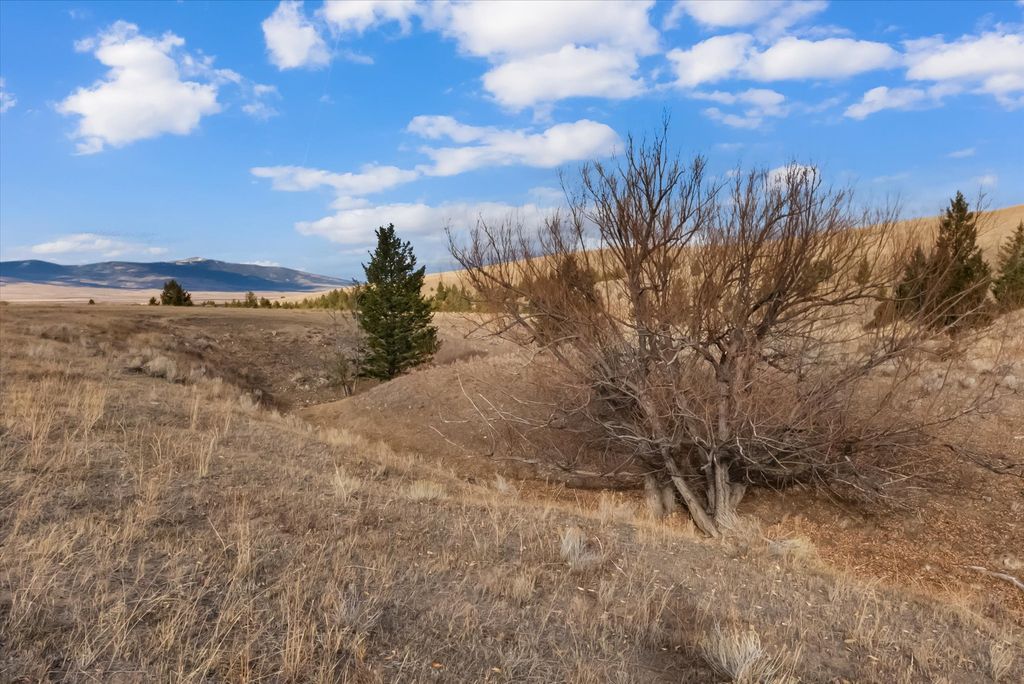 NHN Homestead Creek Drive, Anaconda, MT 59711 photo 6