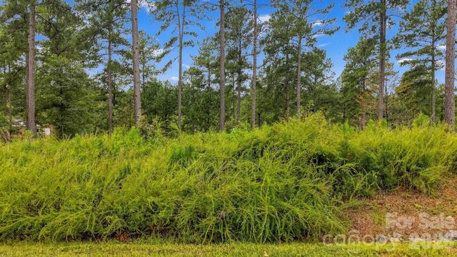 2071 Ellingwood Point 122, Connelly Springs, NC 28612