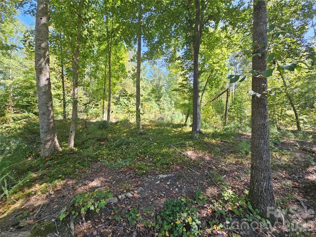2071 Ellingwood Point 122, Connelly Springs, NC 28612