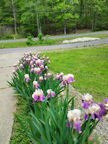 9 Sabadell Lane, Hot Springs Village, AR 71909