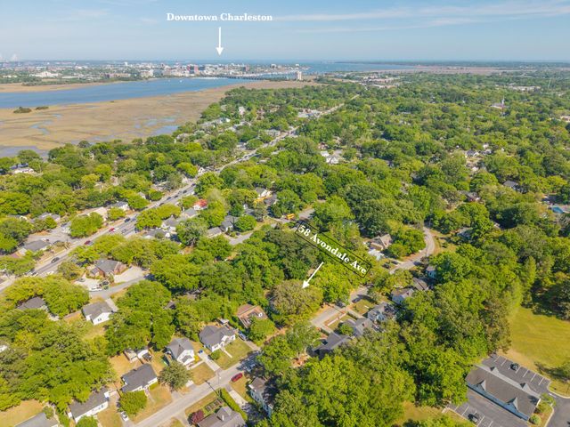 58 Avondale Avenue, Charleston, SC 29407
