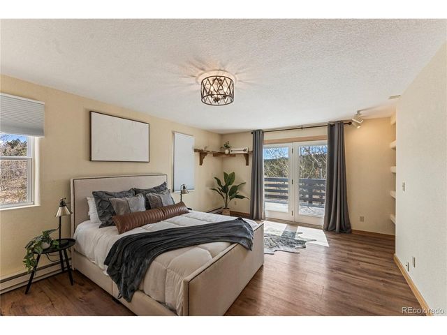 3543 Blue Mesa Dr, Divide, CO 80814