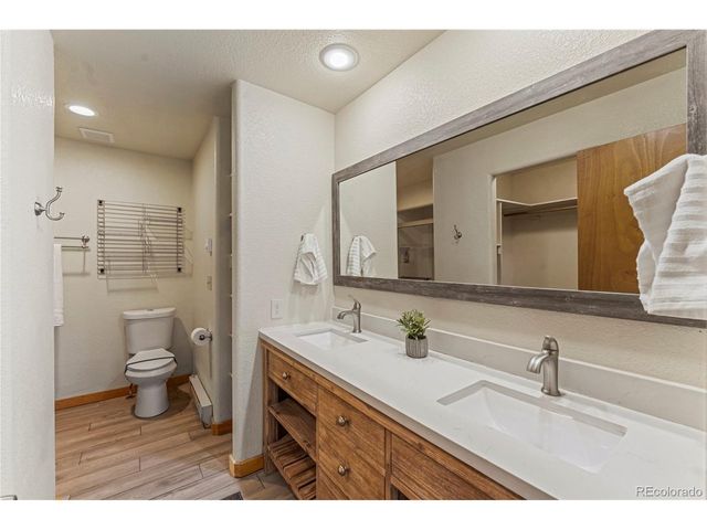 3543 Blue Mesa Dr, Divide, CO 80814