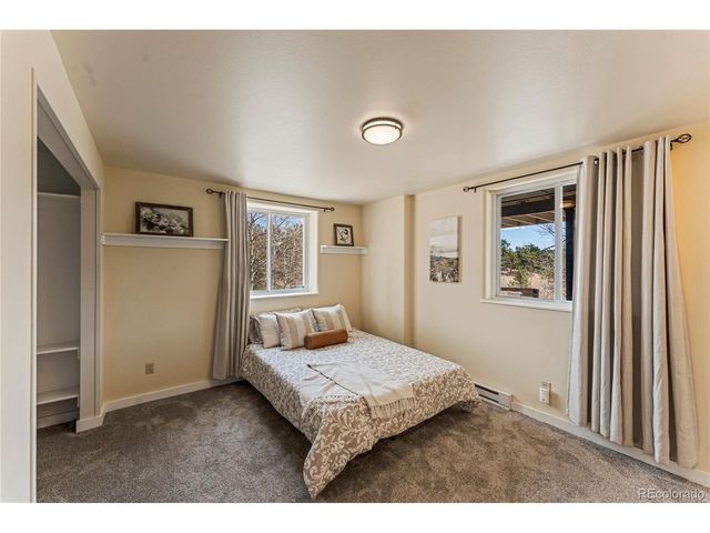3543 Blue Mesa Dr, Divide, CO 80814