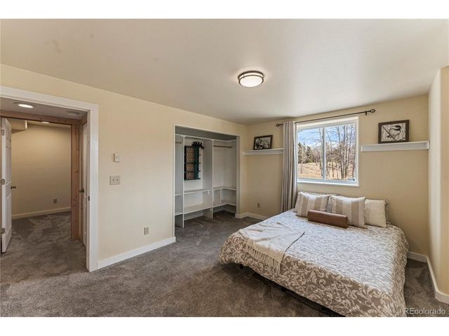 3543 Blue Mesa Dr, Divide, CO 80814