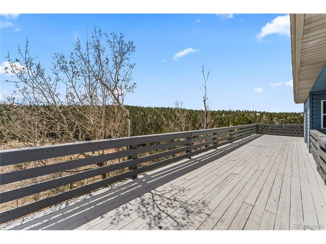 3543 Blue Mesa Dr, Divide, CO 80814