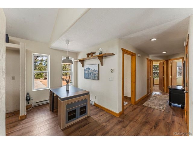 3543 Blue Mesa Dr, Divide, CO 80814
