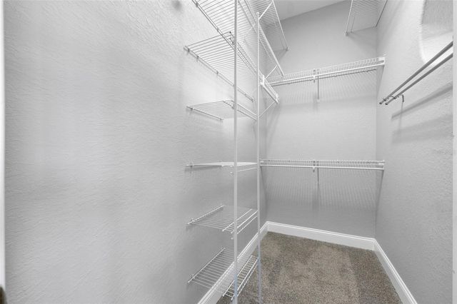 6039 PRINTERY STREET 101, Tampa, FL 33616