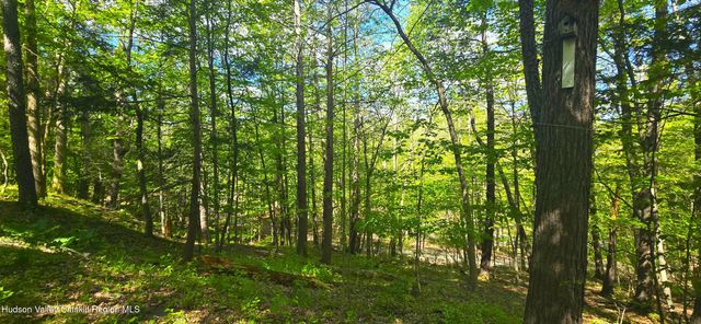 51 Enchanted Valley Road, East Durham, NY 12423
