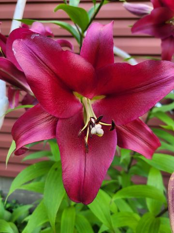 2916 6th Avenue NW, Rochester, MN 55901