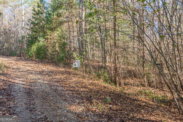 0 Pine Woods Drive, Blairsville, GA 30512