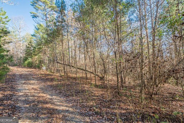 0 Pine Woods Drive, Blairsville, GA 30512