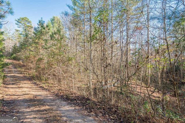 0 Pine Woods Drive, Blairsville, GA 30512