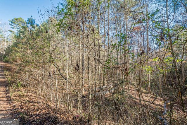 0 Pine Woods Drive, Blairsville, GA 30512