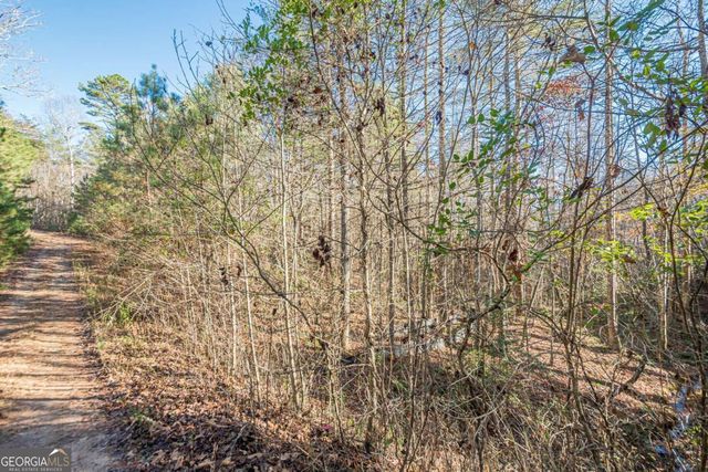 0 Pine Woods Drive, Blairsville, GA 30512