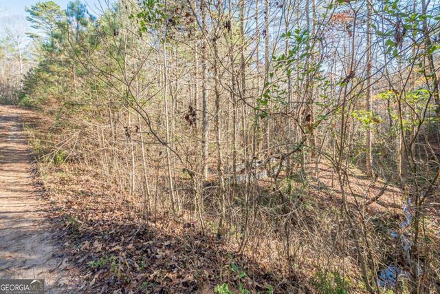 0 Pine Woods Drive, Blairsville, GA 30512