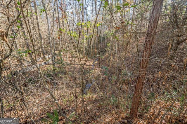 0 Pine Woods Drive, Blairsville, GA 30512