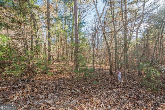 0 Pine Woods Drive, Blairsville, GA 30512