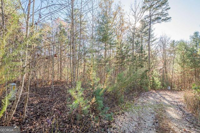 0 Pine Woods Drive, Blairsville, GA 30512