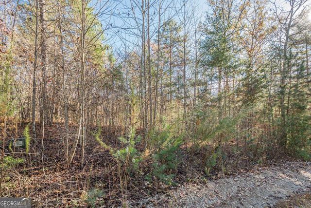 0 Pine Woods Drive, Blairsville, GA 30512