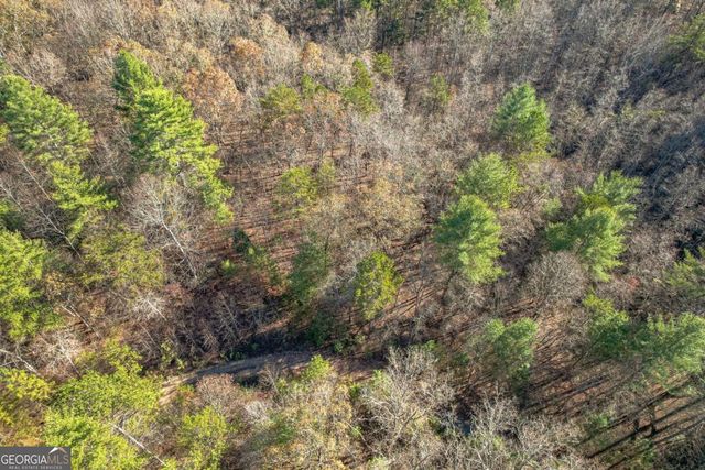 0 Pine Woods Drive, Blairsville, GA 30512
