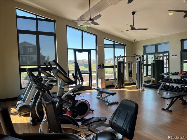 762 Eva Peak Dr, Erie, CO 80516