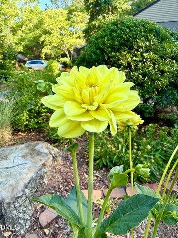 50 Glenmore Drive, Durham, NC 27707
