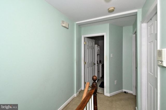 15 EGYPT, Norristown, PA 19403