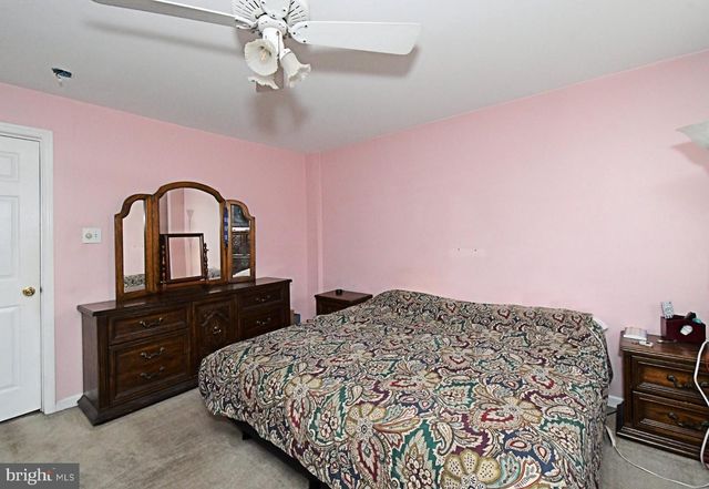 15 EGYPT, Norristown, PA 19403