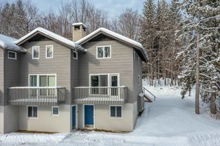 8 Silver Birch Road # 8, Winhall, VT 05340