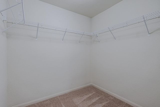 9522 Olive Stone Drive, Rosharon, TX 77583