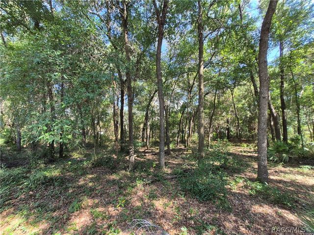 1987 S Colonial Avenue, Homosassa, FL 34448