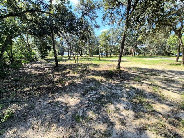 1987 S Colonial Avenue, Homosassa, FL 34448
